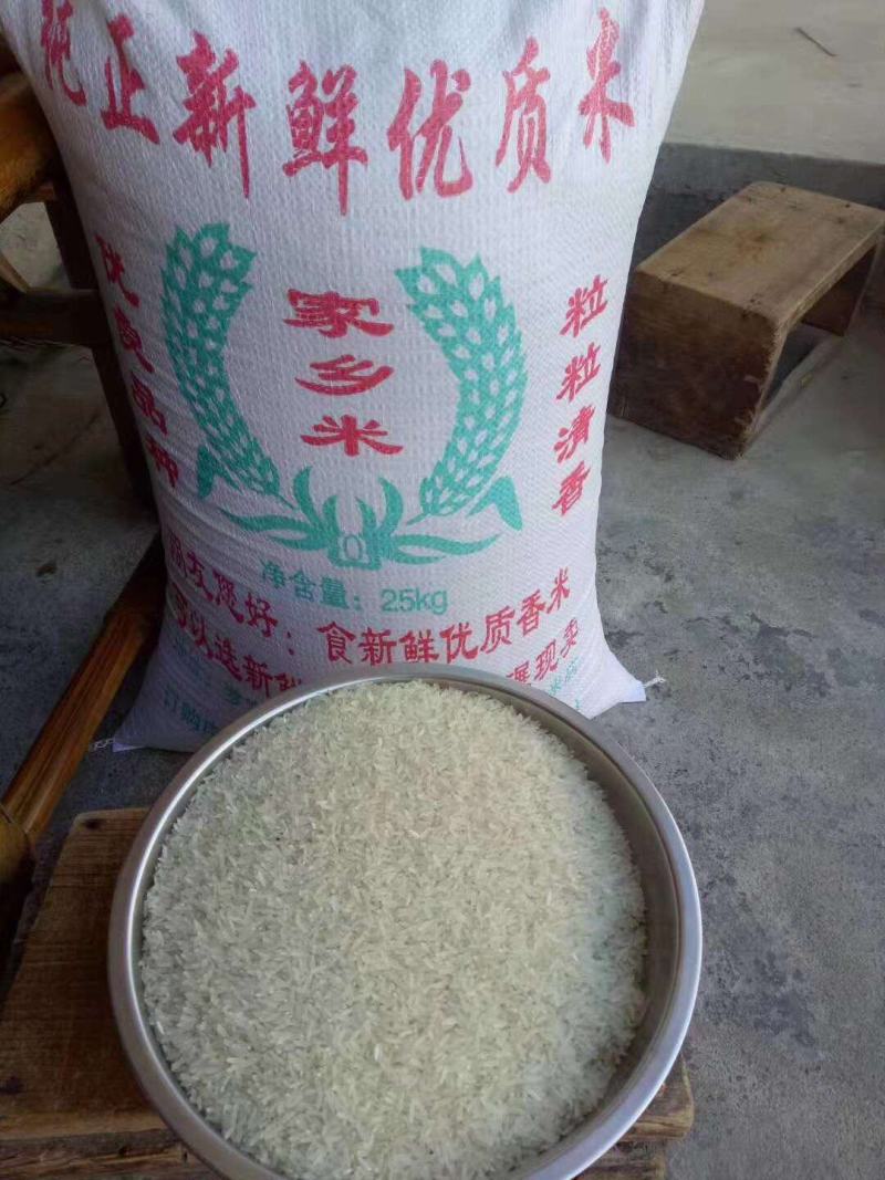 罗定象牙香米广东省内包邮