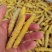 大量供应速冻豆虫，保证质量，个大黄多，单冻包鲜