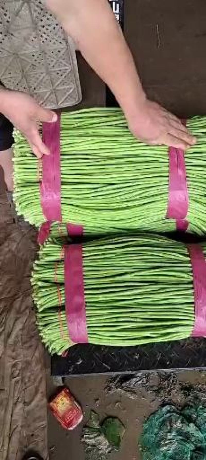 【新鲜豇豆】河北豇豆脆豇豆大量上市价格优惠欢迎咨询