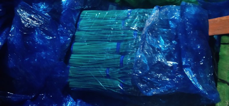 精品杂交红帽蒜薹，全国发货，量大从优，价格合理，产地直发