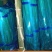 精品杂交红帽蒜薹，全国发货，量大从优，价格合理，产地直发
