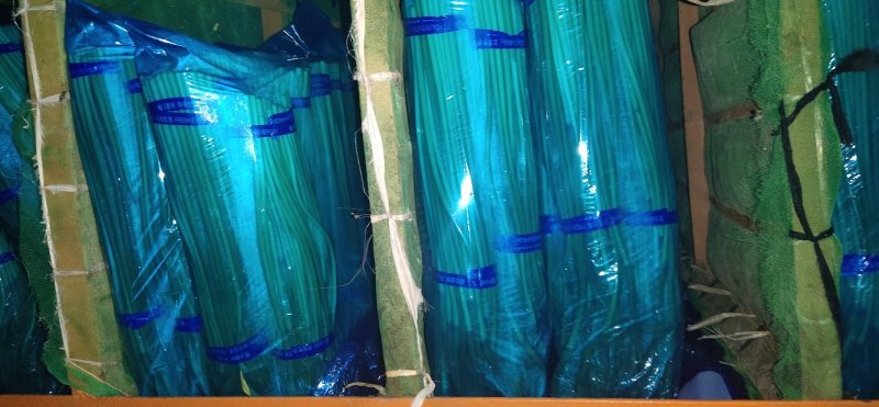 精品杂交红帽蒜薹，全国发货，量大从优，价格合理，产地直发