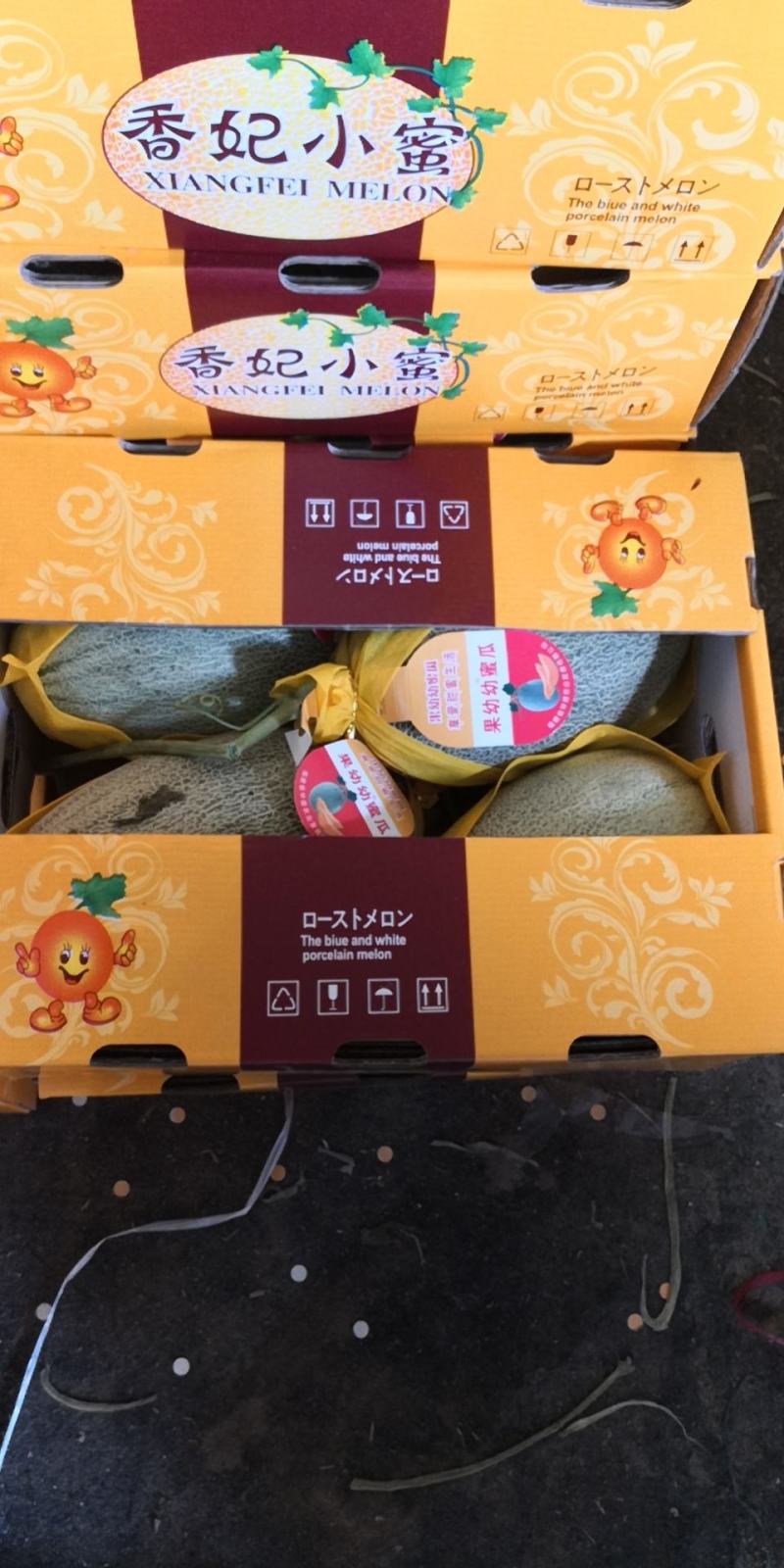 西州蜜25，脆甜可口，是我们这里的地理标志产品