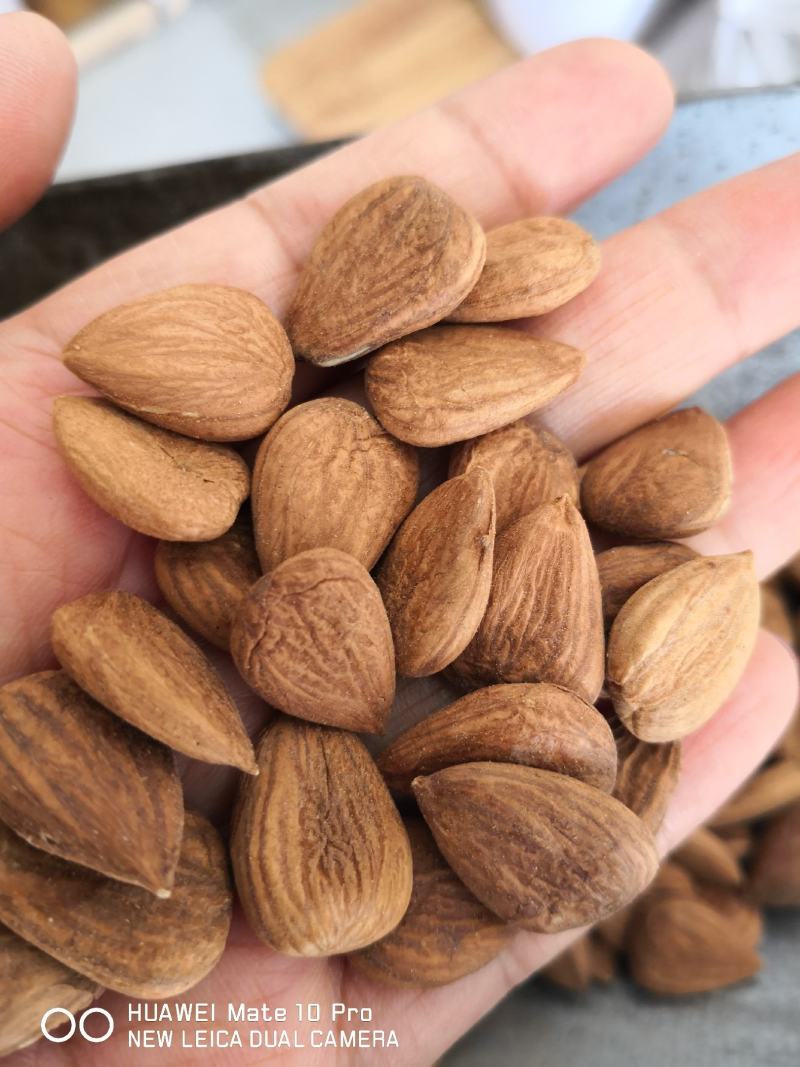 甜杏仁生带皮选货籽类饱满食用级别无硫量大从优