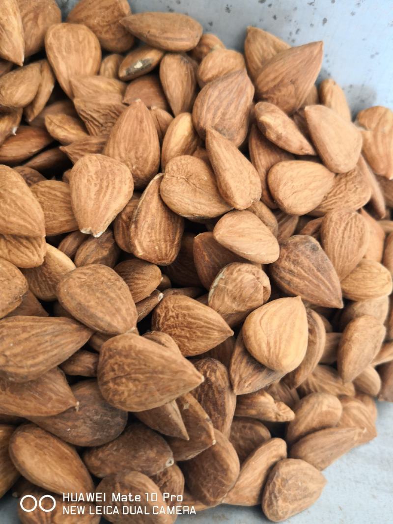 甜杏仁生带皮选货籽类饱满食用级别无硫量大从优