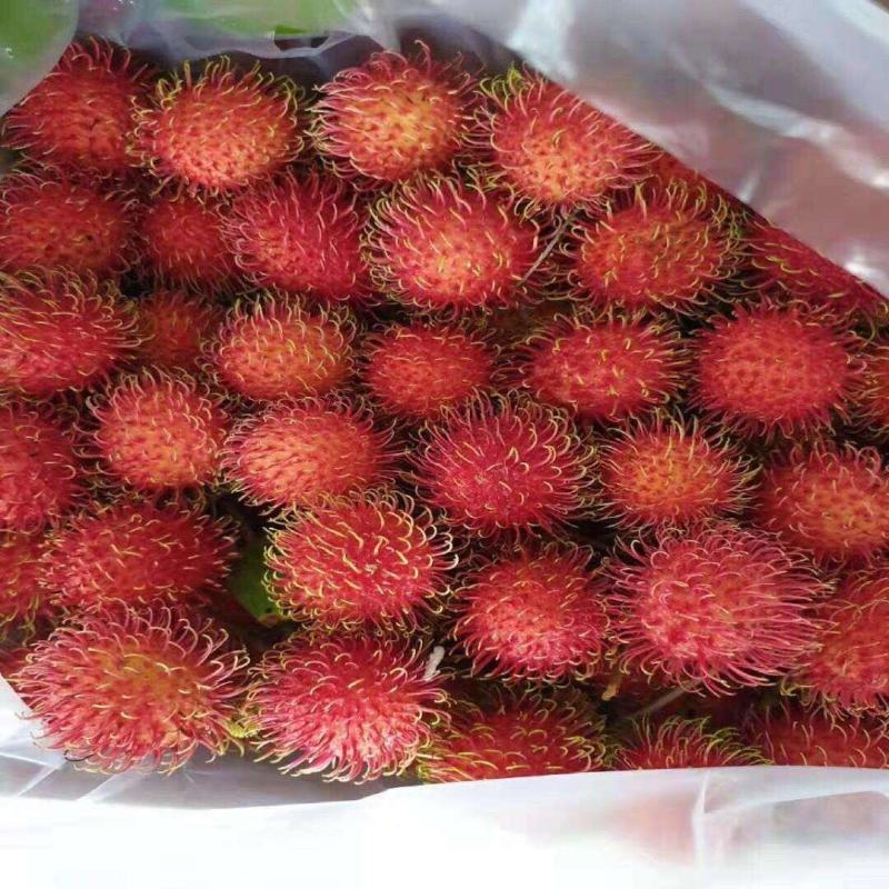 海南新鲜水果红毛丹3/5斤整箱应季毛荔枝批发特价空运包