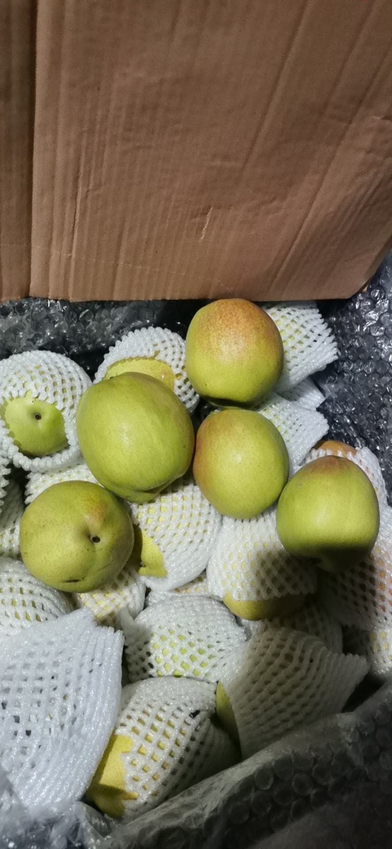 新梨七号大量上市，颜色漂亮，果面干净，供应全国市场商超