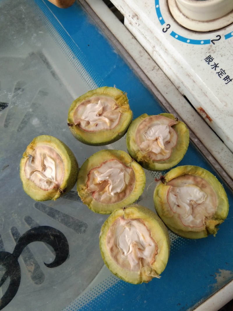 青皮核挑