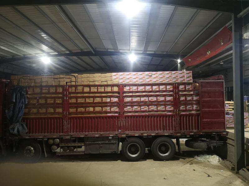 六鳌红蜜薯大果蜜香薯大量供整车发货产地直发