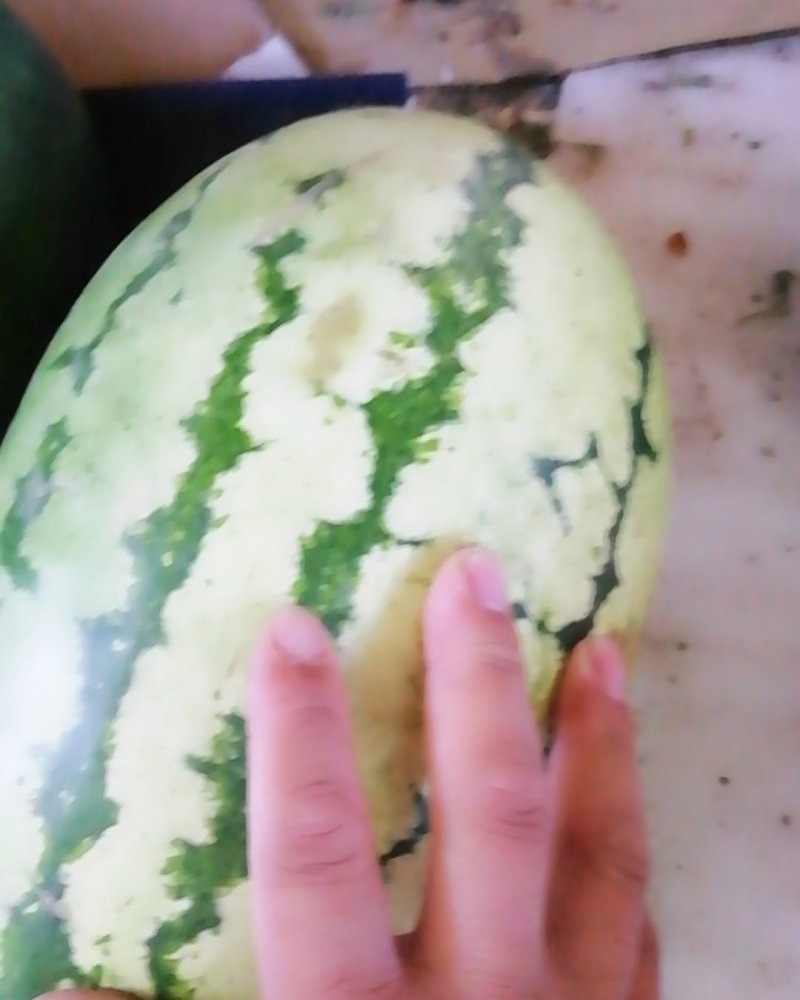忻州西瓜大量上市质量好，量大优惠