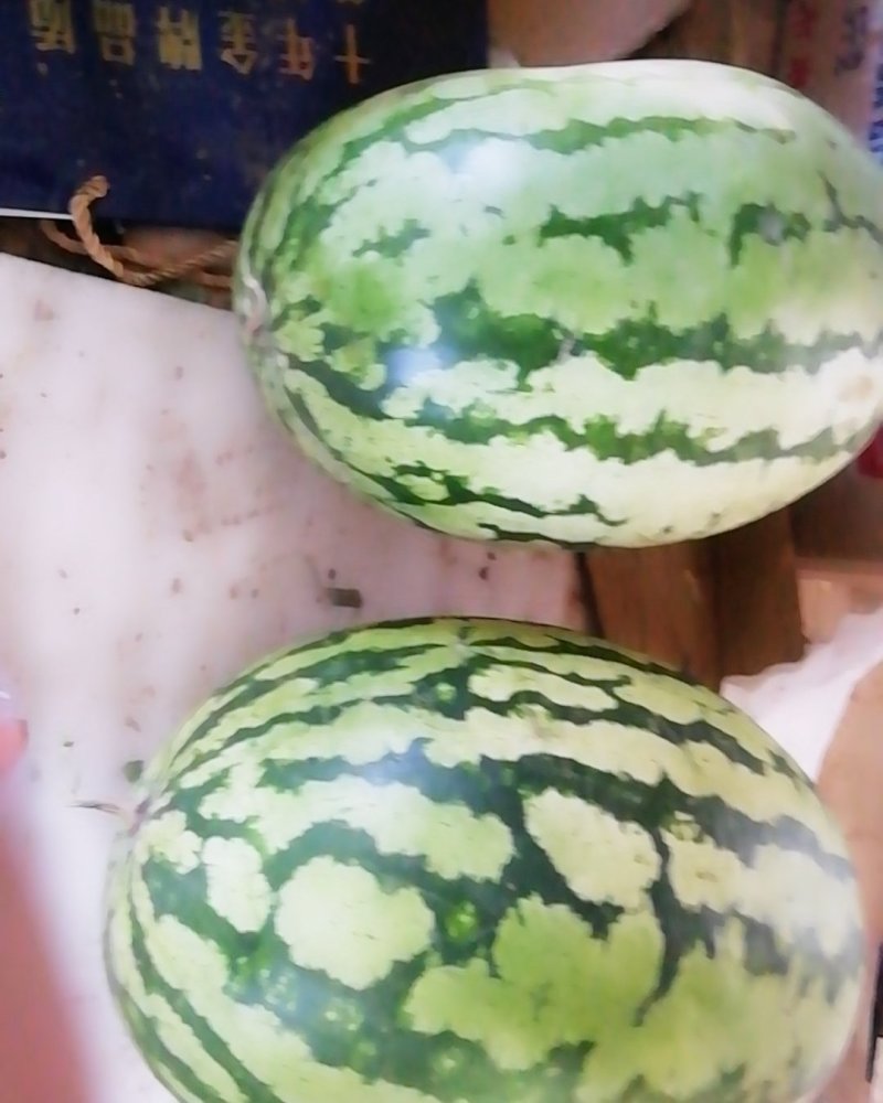 忻州西瓜大量上市质量好，量大优惠