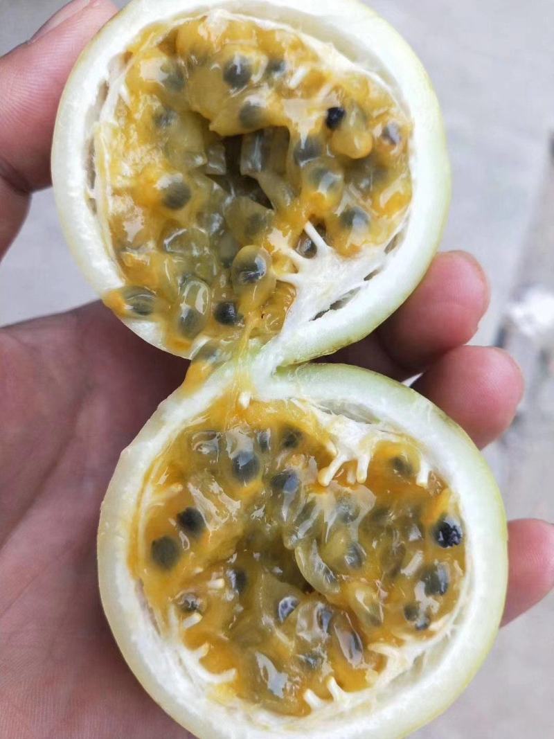 钦蜜9号黄金百香果皮硬肉多汁多甜而不腻清甜可口回味无穷