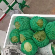 球生菜