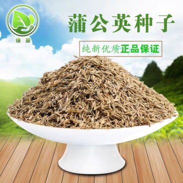 蒲公英种子，包发芽率，百分之九十五以上，可回收产品