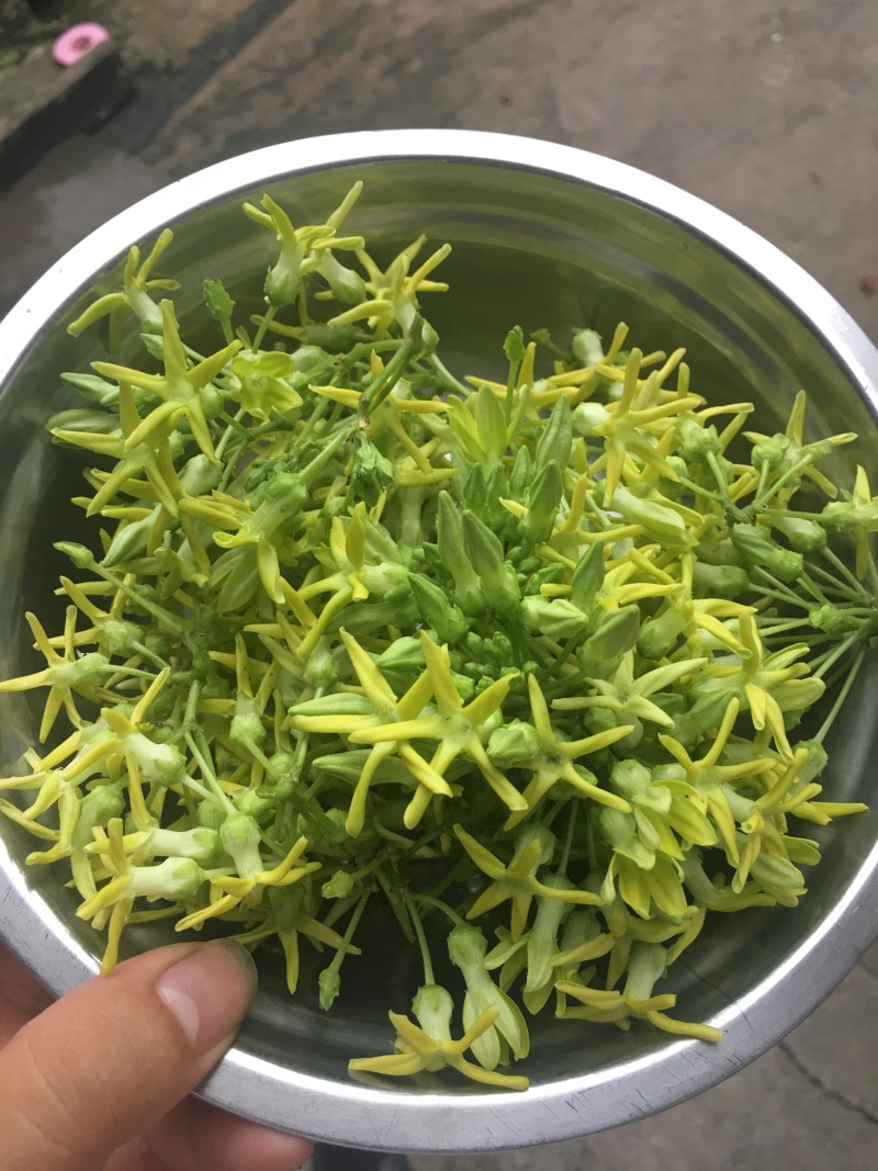 夜来香花