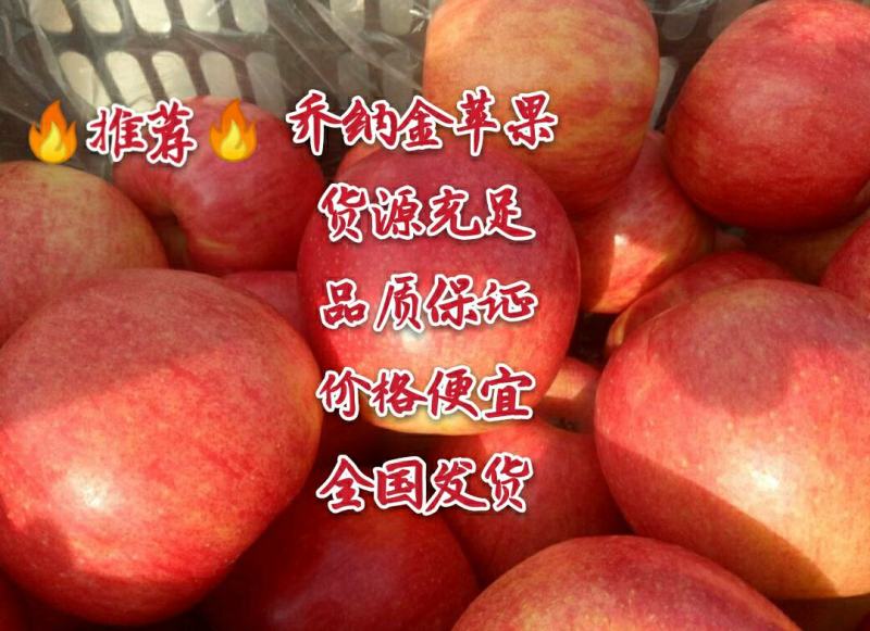 乔纳金苹果辽宁产地直供一手货源品质保证个地发货
