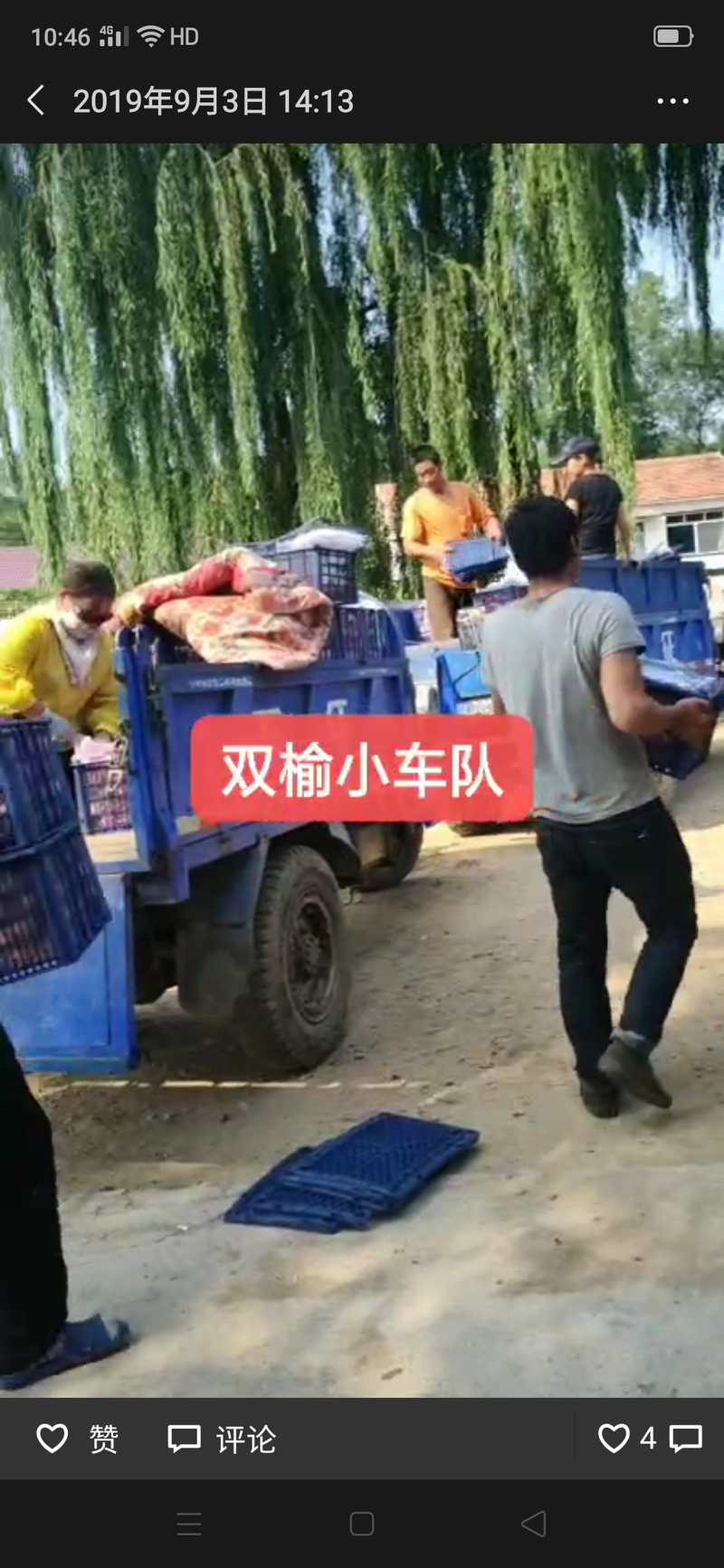 辽宁省西丰双榆k9小苹果基地，大量上市。