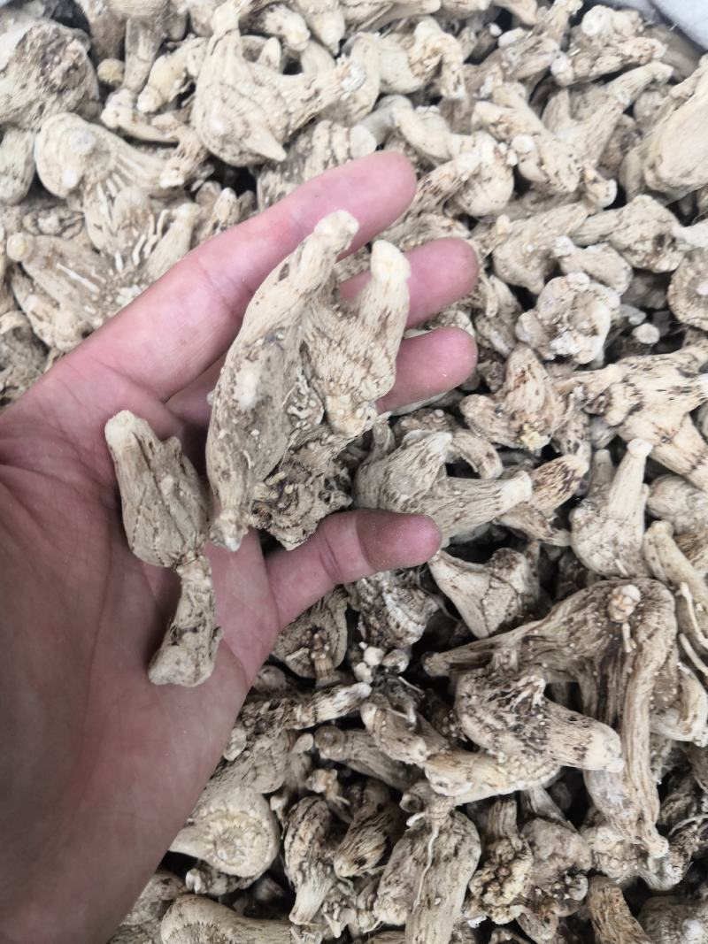 白芨白芨个白芨片冷背中药材片子都有的