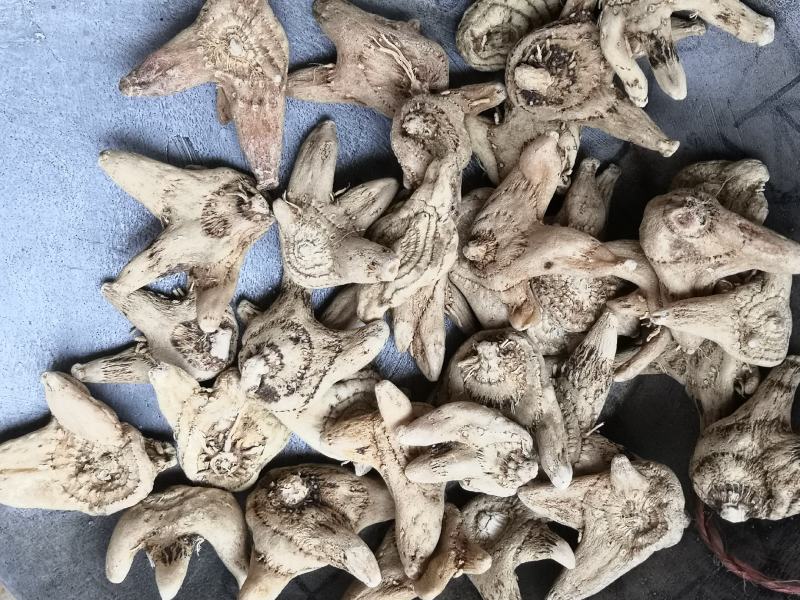 白芨白芨个白芨片冷背中药材片子都有的