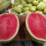 🍉石头瓜🍉麒麟西瓜🍉种植大户，大量走货