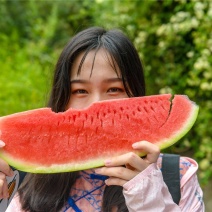 🍉石头瓜🍉麒麟西瓜🍉种植大户，大量走货