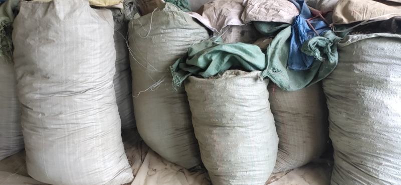 产地真供当归大小股子毛尾统货药厂投料干净无杂质