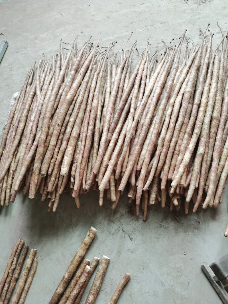原土紫药，一手货源低价供货，千亩种植产地直供，现货现发
