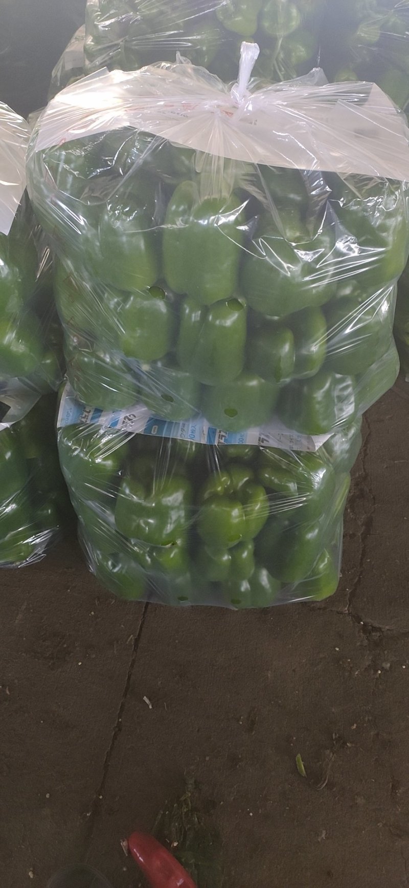 甜椒，薄皮，河北唐山滦南产地直供