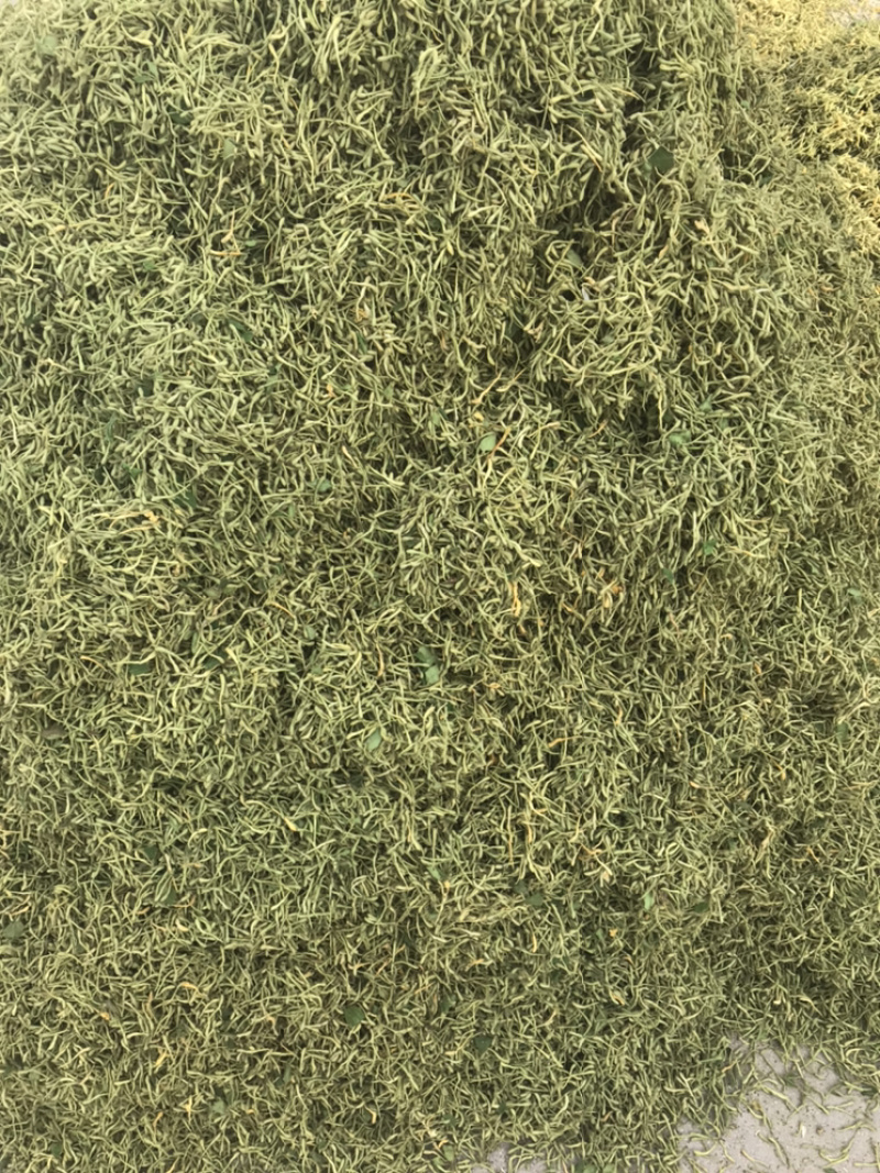 金银花