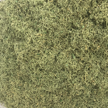金银花