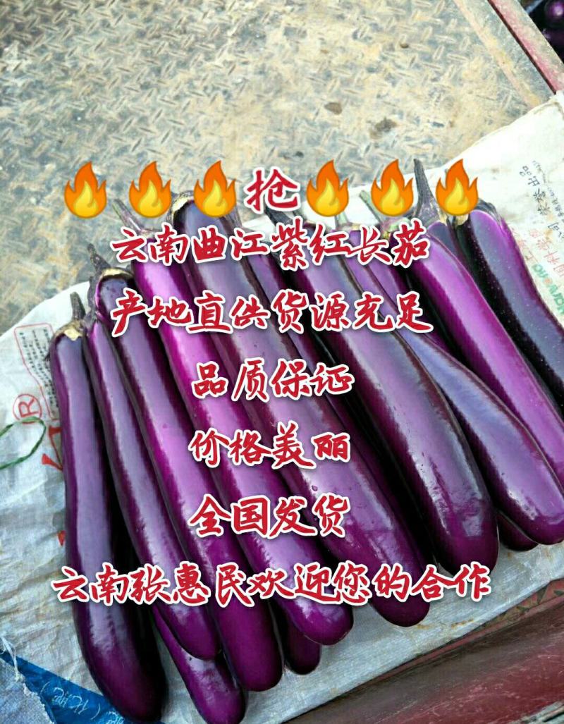 云南红茄长茄子大量上市供应一手货源品质保证价格美丽