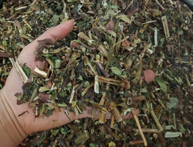 黄花败酱草【包邮】三斤起发货可批量可零售量大从优