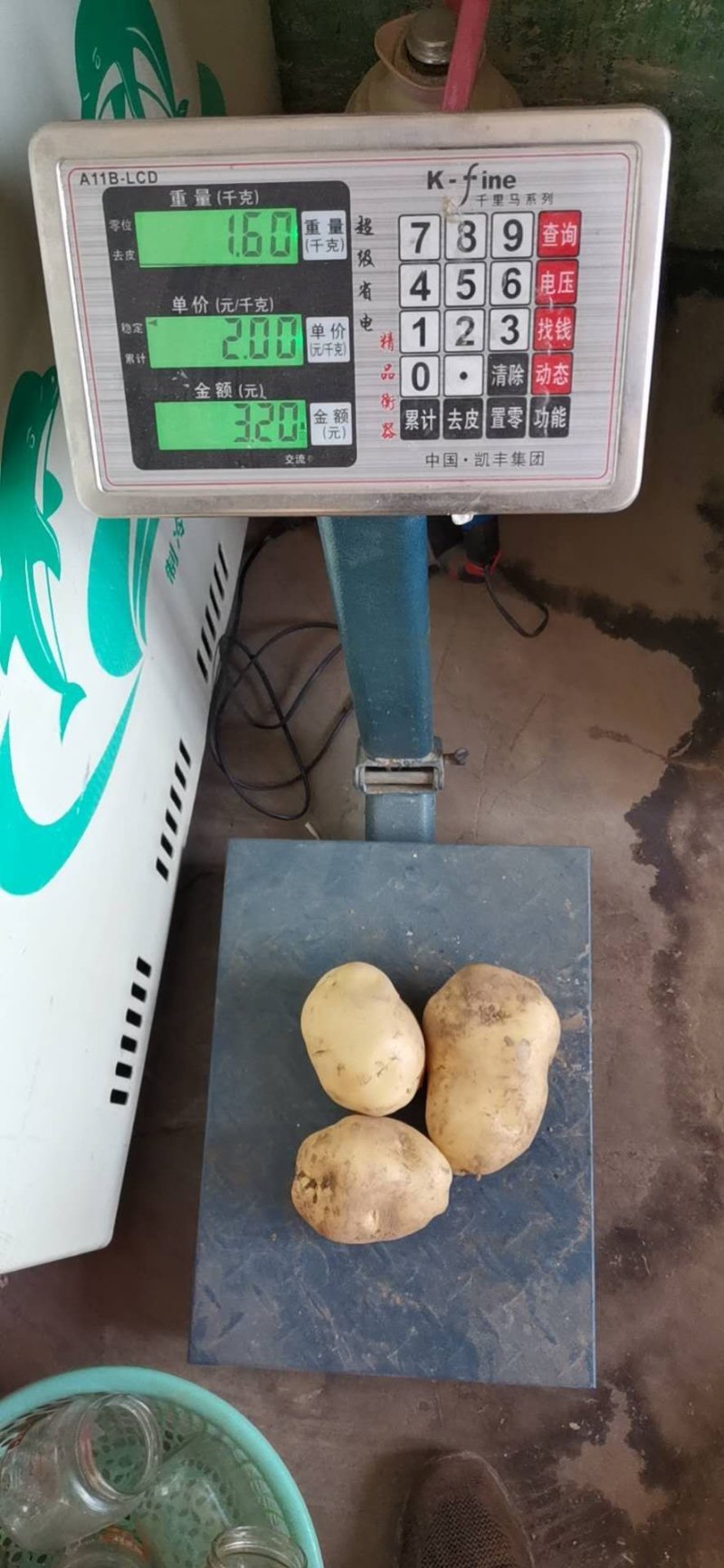 文水县胡兰镇土豆大量上市个头大形状好合薯5号