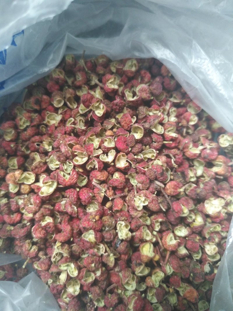 陕西大红袍新货正在上市