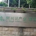 法国伊拉配套系种兔重庆阿兴记伊拉父母代种兔
