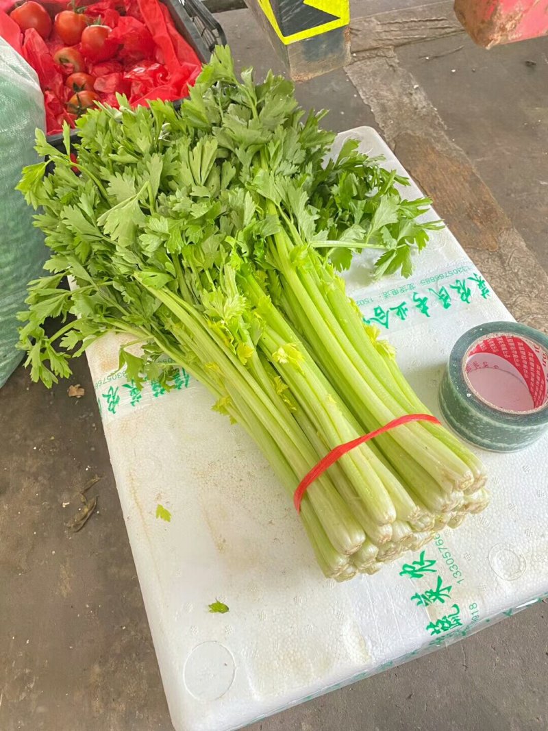 西芹，小药芹
