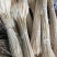 天然黄金麦穗干花家庭客厅简约玻璃花瓶装饰摆件插花招财