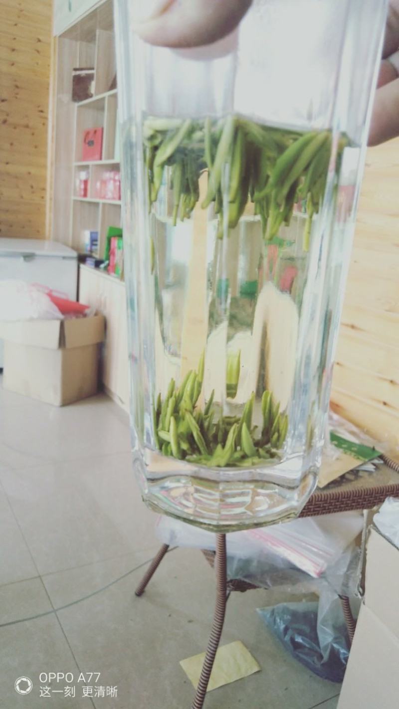 湄潭翠芽
