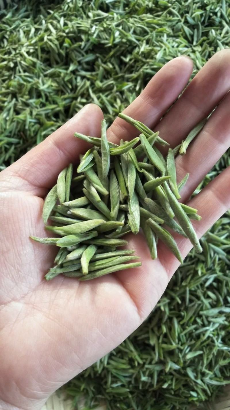 湄潭翠芽