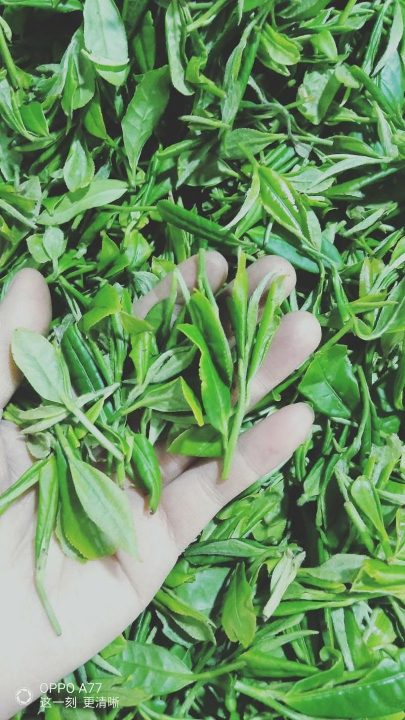 茶叶