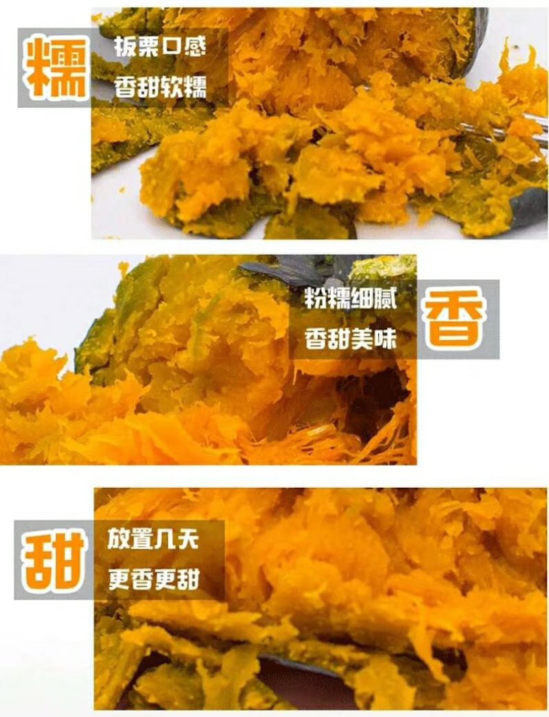 板栗南瓜