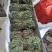 鸡骨草没硫磺颜色青绿