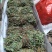 鸡骨草没硫磺颜色青绿