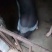 陆川猪，母猪，小花猪，仔猪仔猪，小花猪，各种各样等等