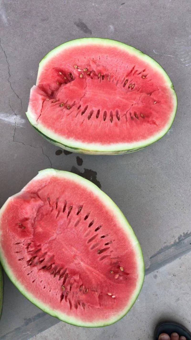 宁夏硒砂瓜质量好价格低耐运输口感好，大量有货