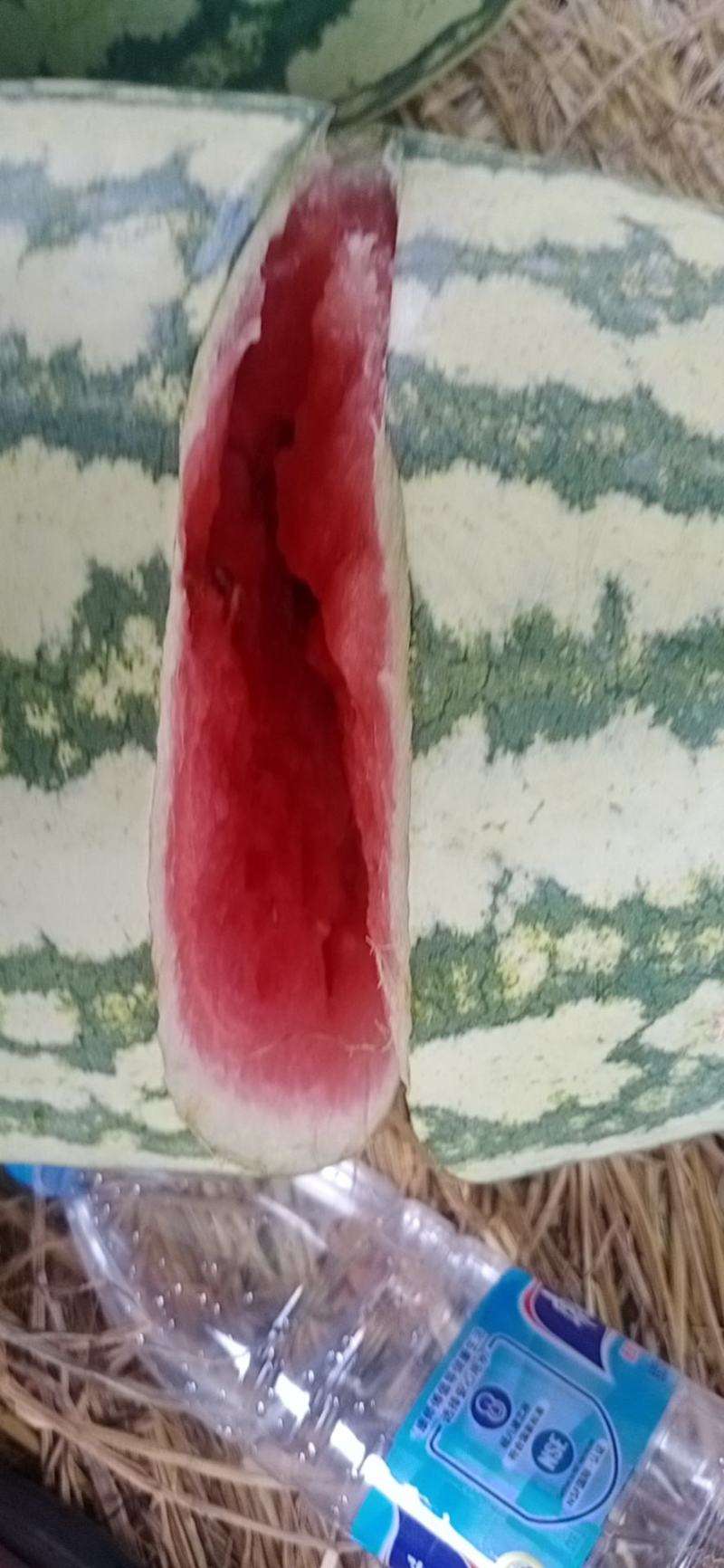 宁夏硒砂瓜质量好价格低耐运输口感好，大量有货