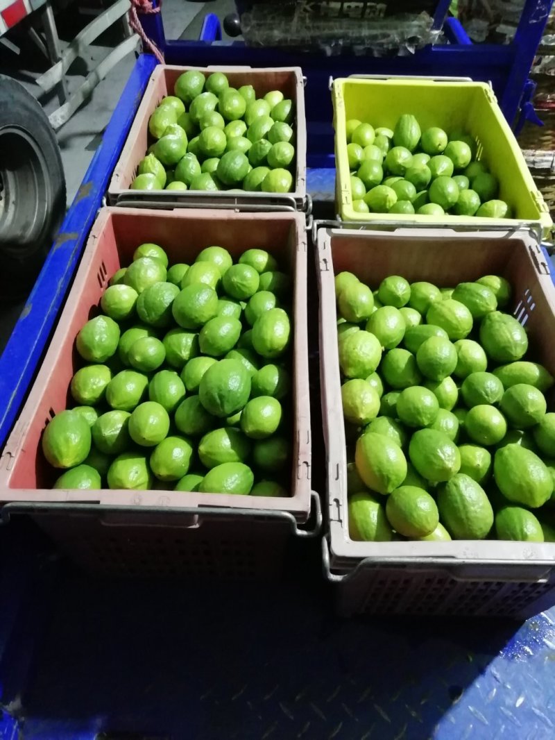 广东香水柠檬，皮簿汁液多香味浓厚，产地直销，一手货源