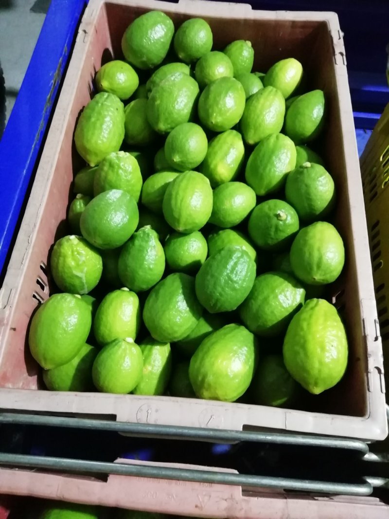 广东香水柠檬，皮簿汁液多香味浓厚，产地直销，一手货源