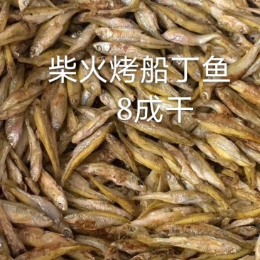 柴火烤船丁鱼8成干无盐无油（麦穗鱼）