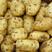 荷兰十五土豆产地直发，便宜货源，充足质量保证，全国发货